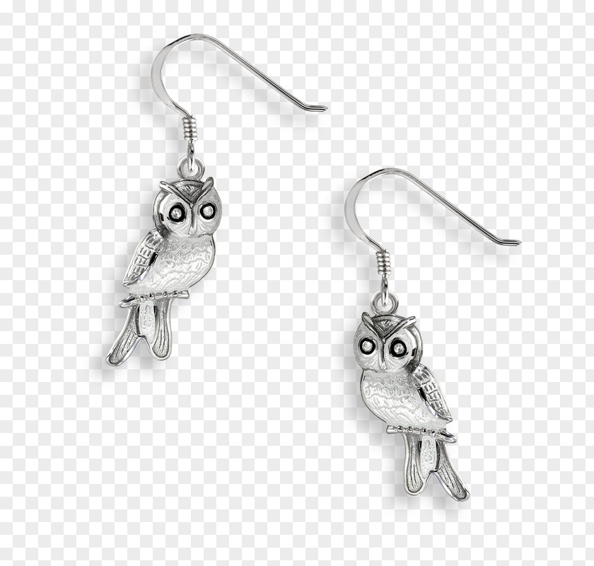 Earrings Earring Sterling Silver Jewellery Vitreous Enamel PNG