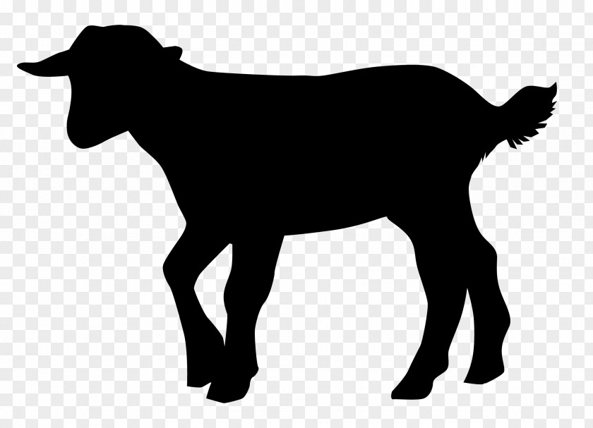 Goat Cattle Sheep Intensive Animal Farming L214 PNG
