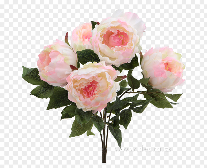 Peony Flower Bouquet Artikel Garden Roses PNG