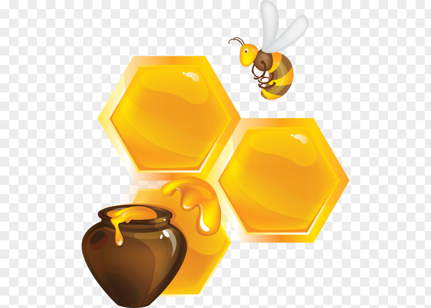 Bee Honey Beekeeping PNG