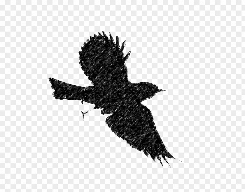 Bird Flight European Robin Silhouette Clip Art PNG