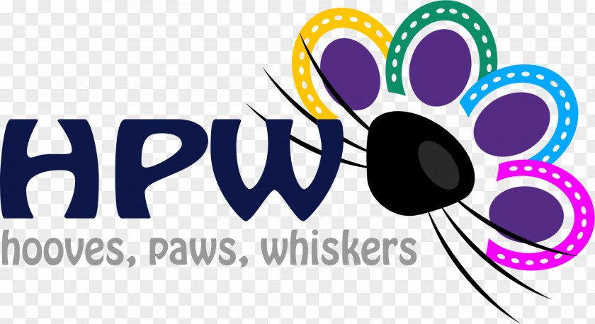 Cat Pet Sitting Dog Paw PNG