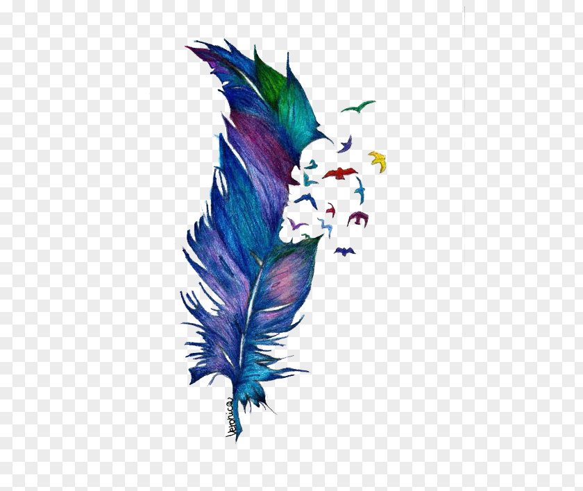 Falling Feathers Bird Drawing Feather Watercolor Painting Tattoo PNG