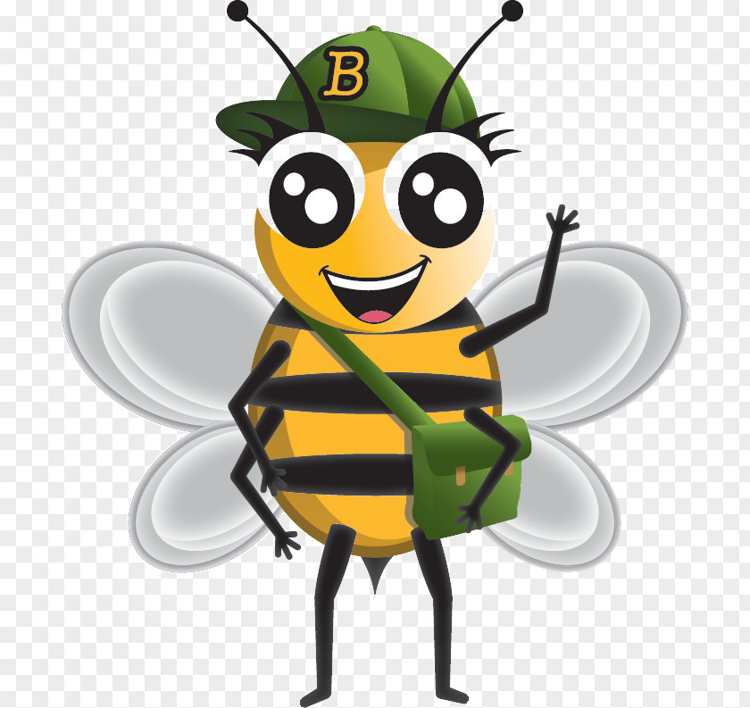 Honey Bee Insect Sting Beehive Pollinator PNG