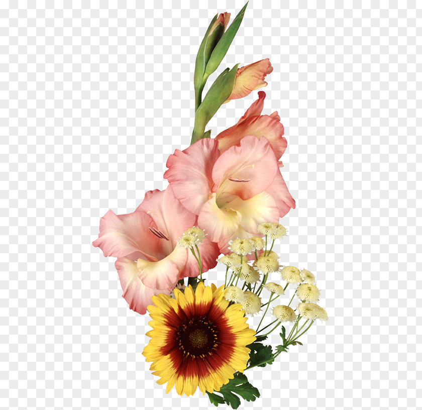 Platinum Gladiolus Cut Flowers Floral Design PNG