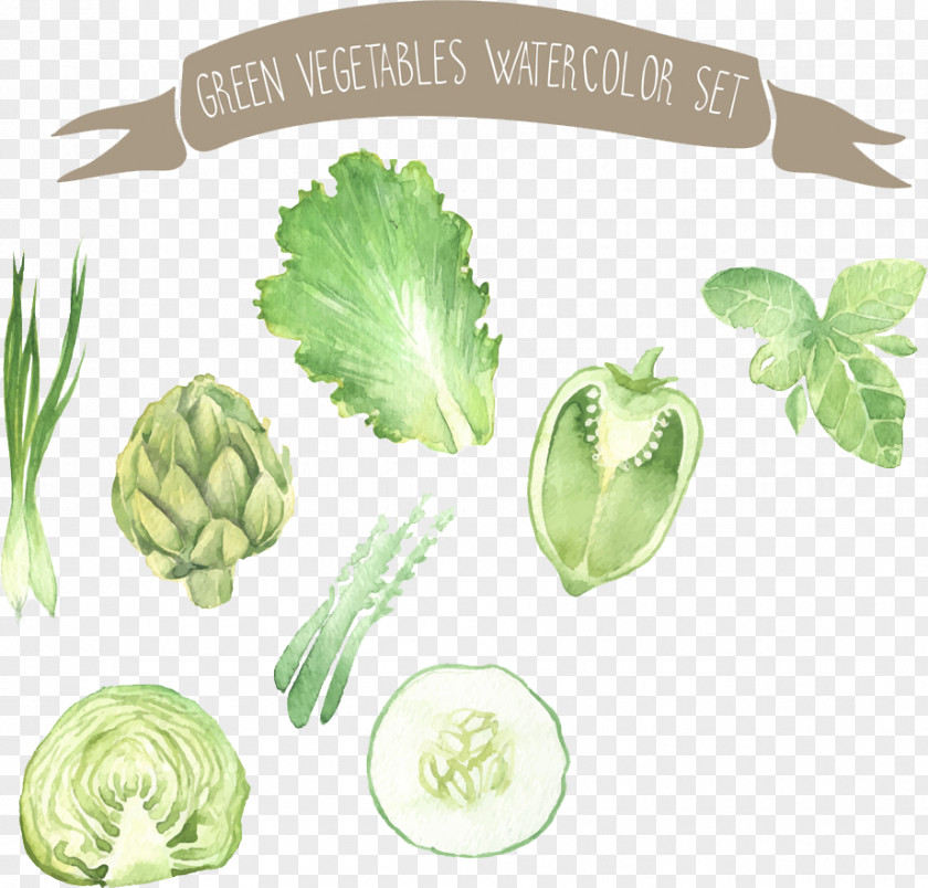 Watercolor Vegetables Painting Vegetable Drawing Illustration PNG