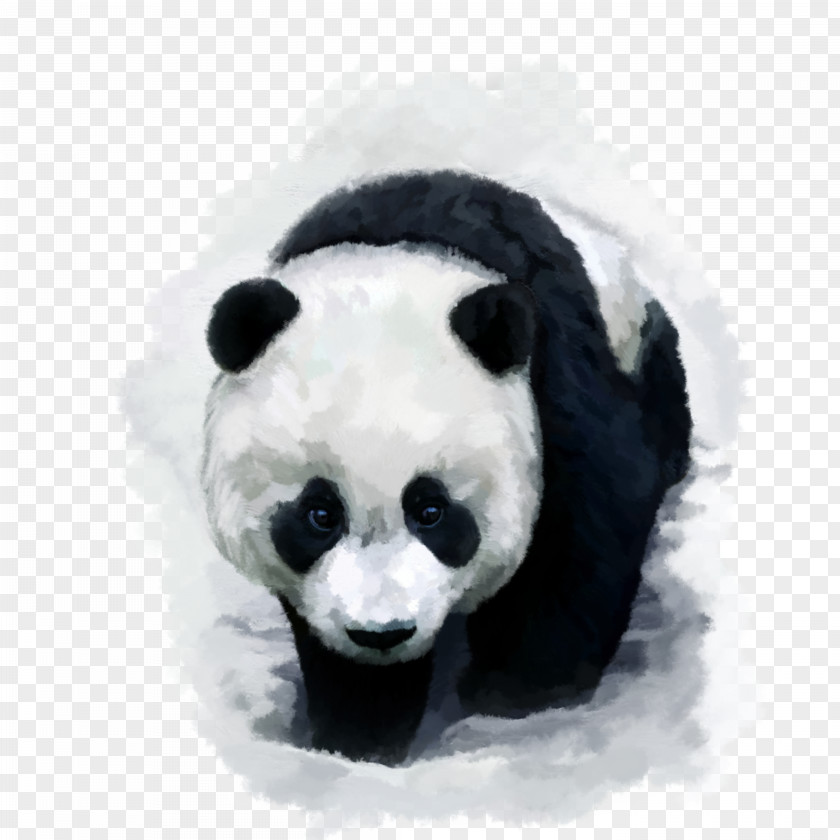 Bear Giant Panda Red Desktop Wallpaper Baby Pandas PNG
