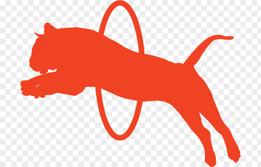 Cat Dog Leash Clip Art PNG