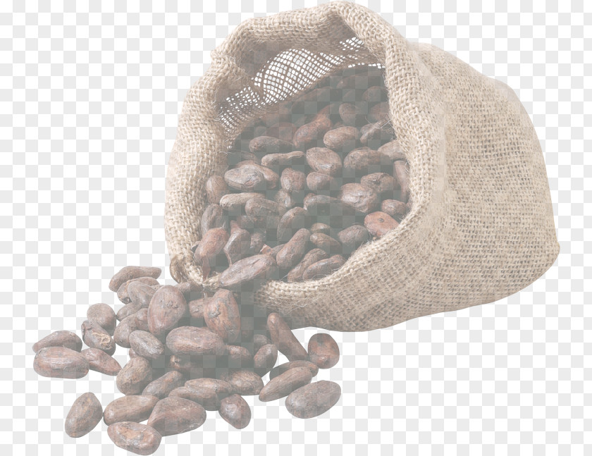 Common Bean Plant PNG