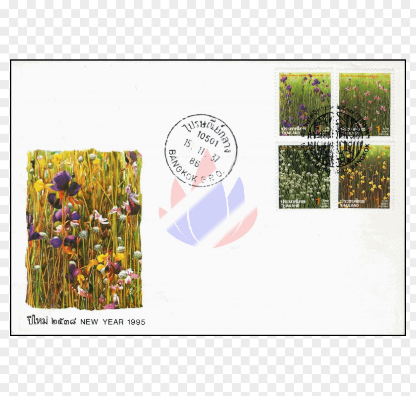 Design Floral Ecosystem Meadow Picture Frames PNG