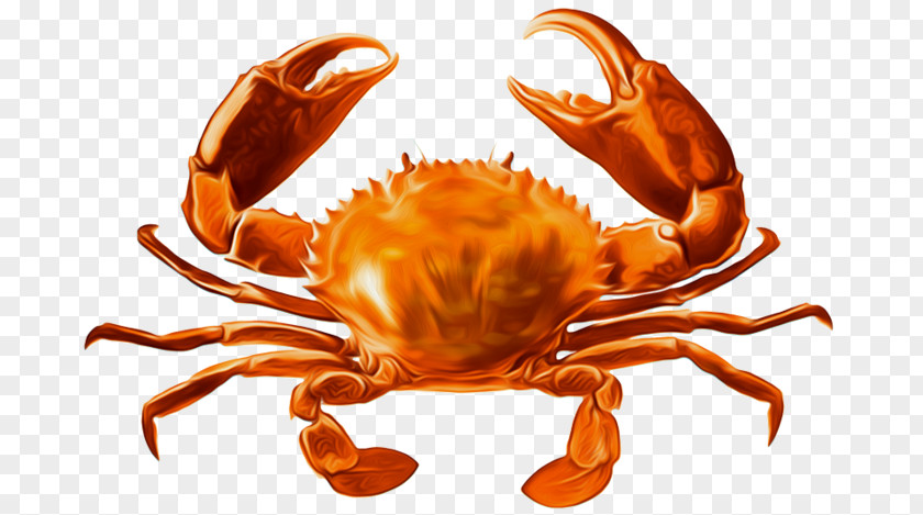 Giant Mud Crab Atlantic Horseshoe European Green PNG mud crab horseshoe green crab, clipart PNG