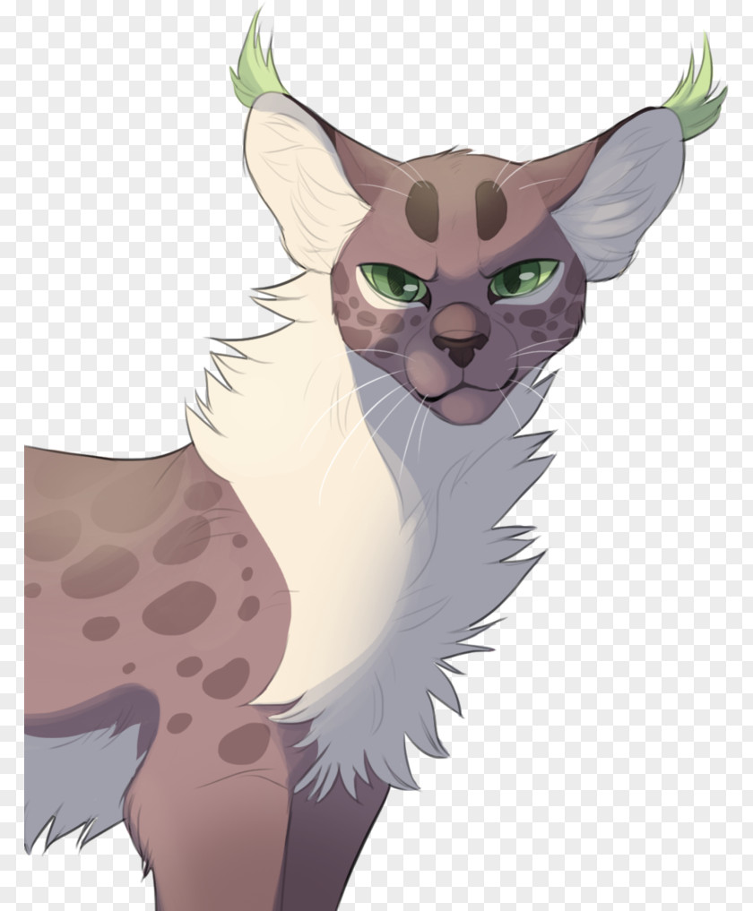 Kitten Whiskers Cat Warriors Drawing PNG