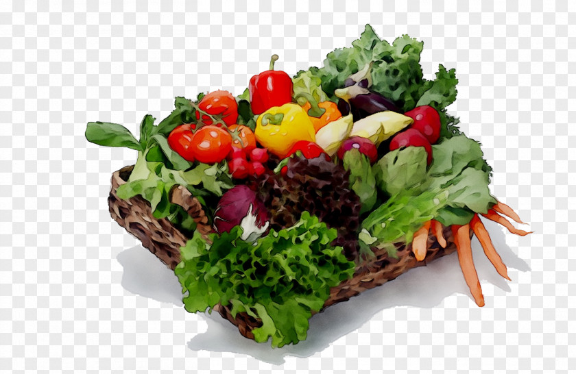 Lettuce Vegetarian Cuisine Salad Recipe Food PNG