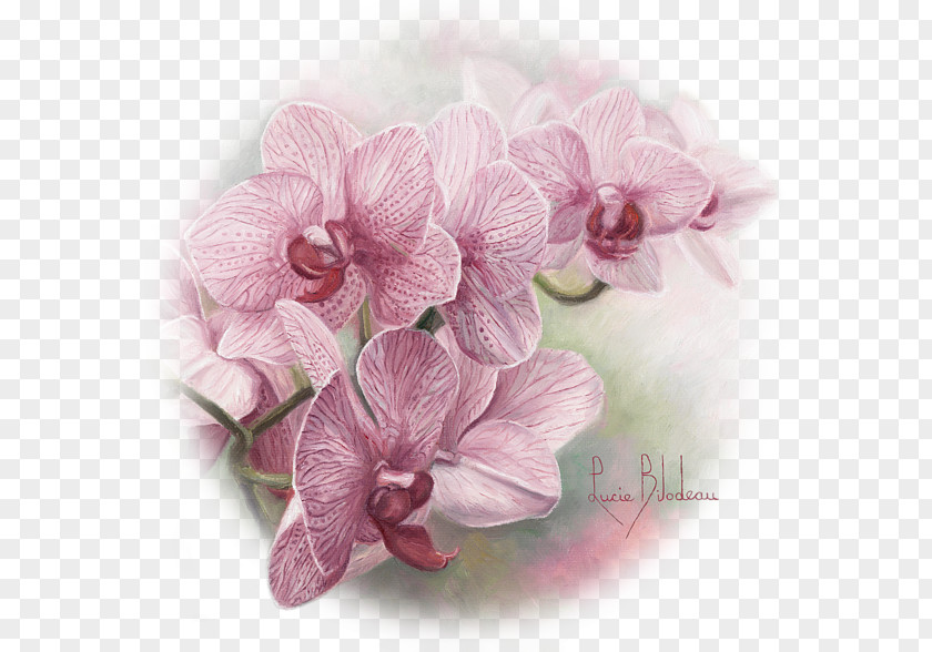 Orchid Watercolor Painting Oil Art PNG