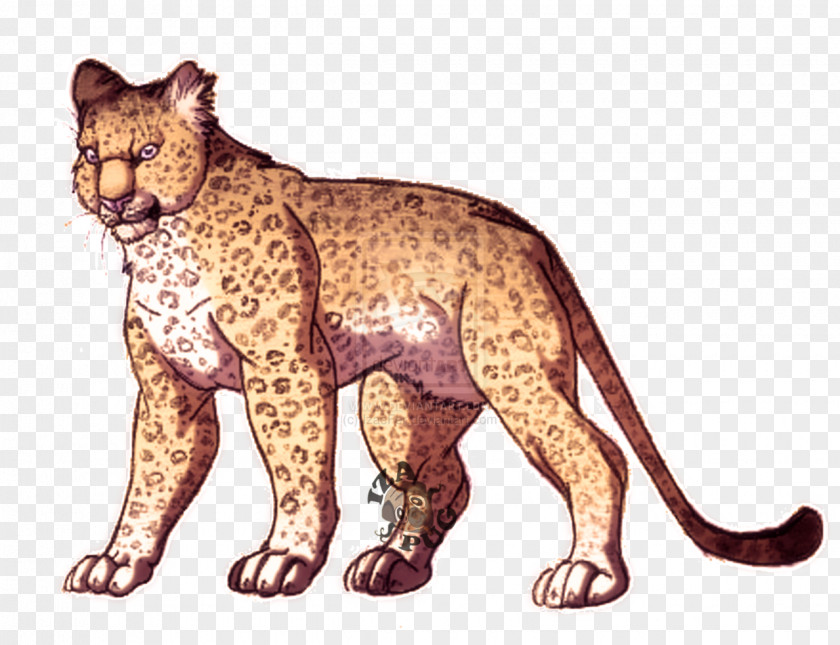Cat Lion Leopard Cheetah Fauna PNG