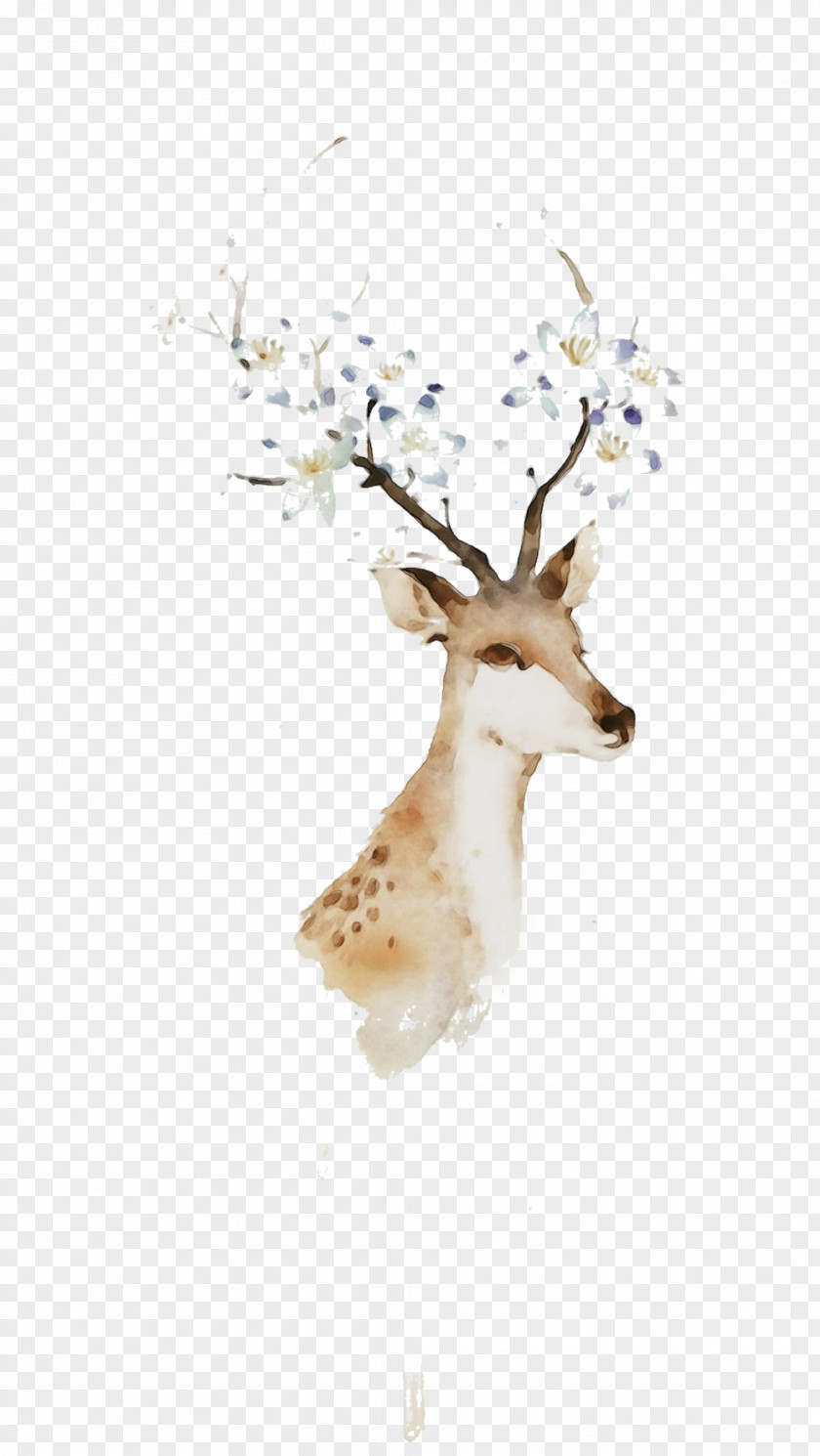 Horn Fawn Reindeer PNG