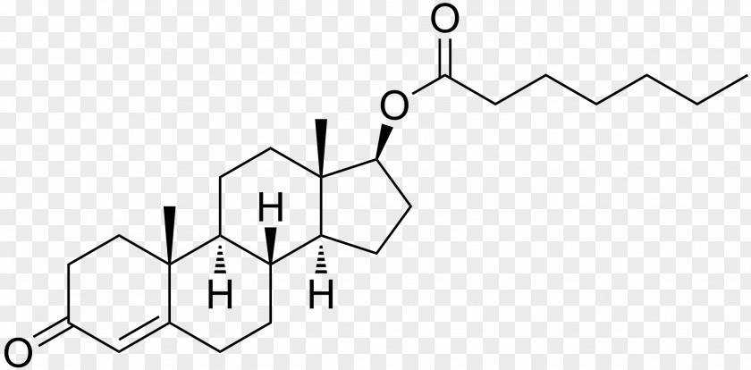 Testosterone Enanthate Propionate Anabolic Steroid Metenolone PNG