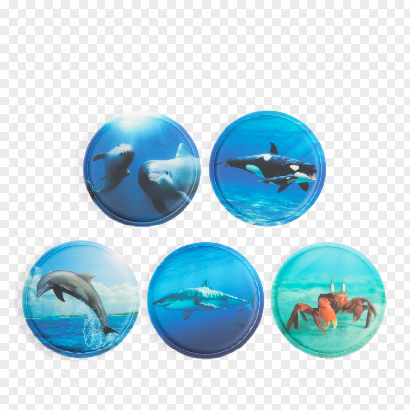 Backpack Bag Marine Mammal Oceanic Dolphin EBay PNG