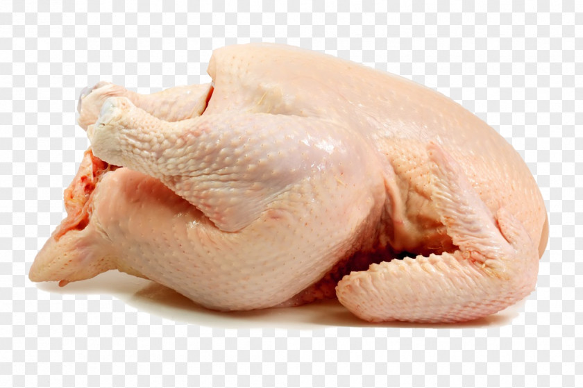 Chicken Broiler Turkey Meat Poultry PNG