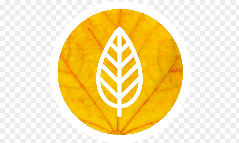 Creative Leaf Hawaii Decal Sticker Business PNG