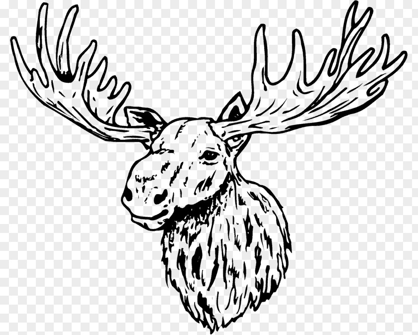 Deer Antler Line Art Clip PNG