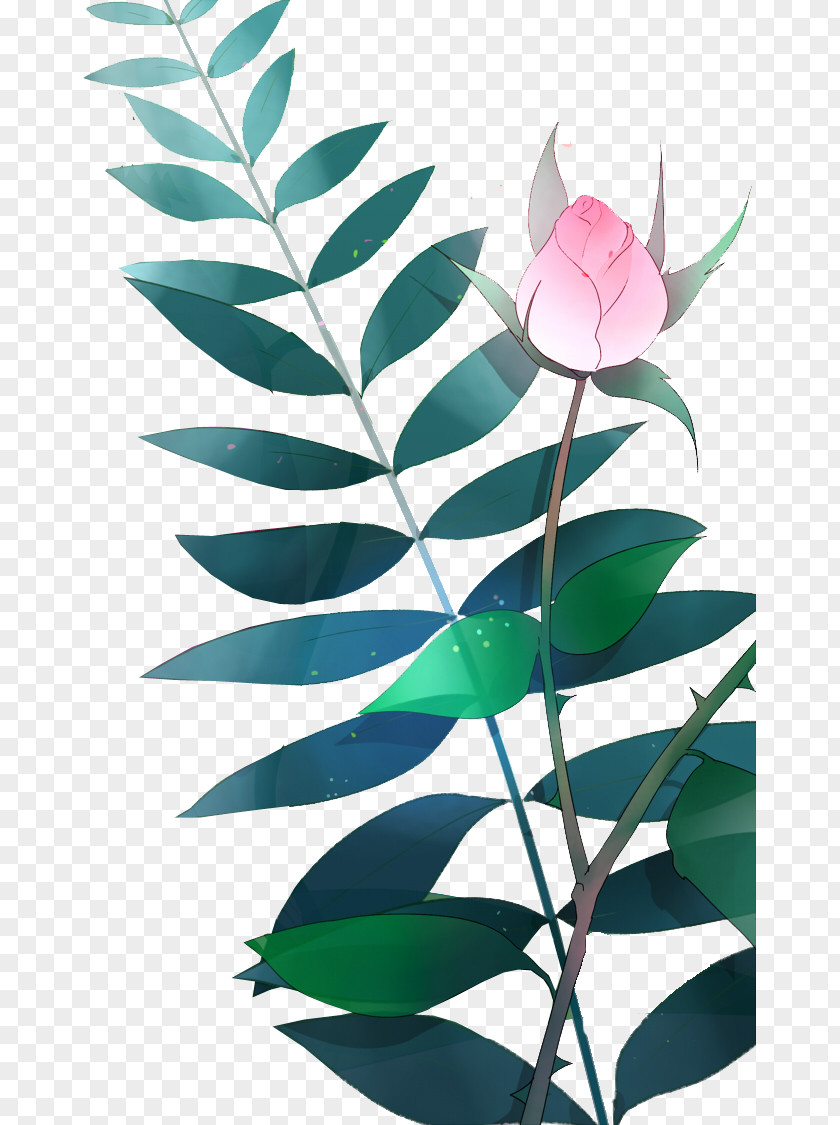 Hand-painted Lotus Watercolor Painting Youku Nelumbo Nucifera Icon PNG