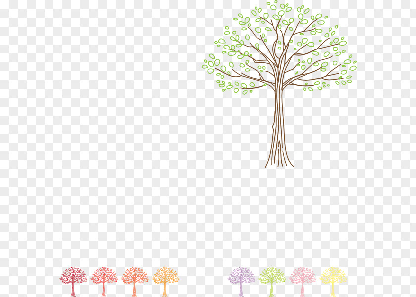 Leaf Twig Vascular Plant Stem Tree PNG