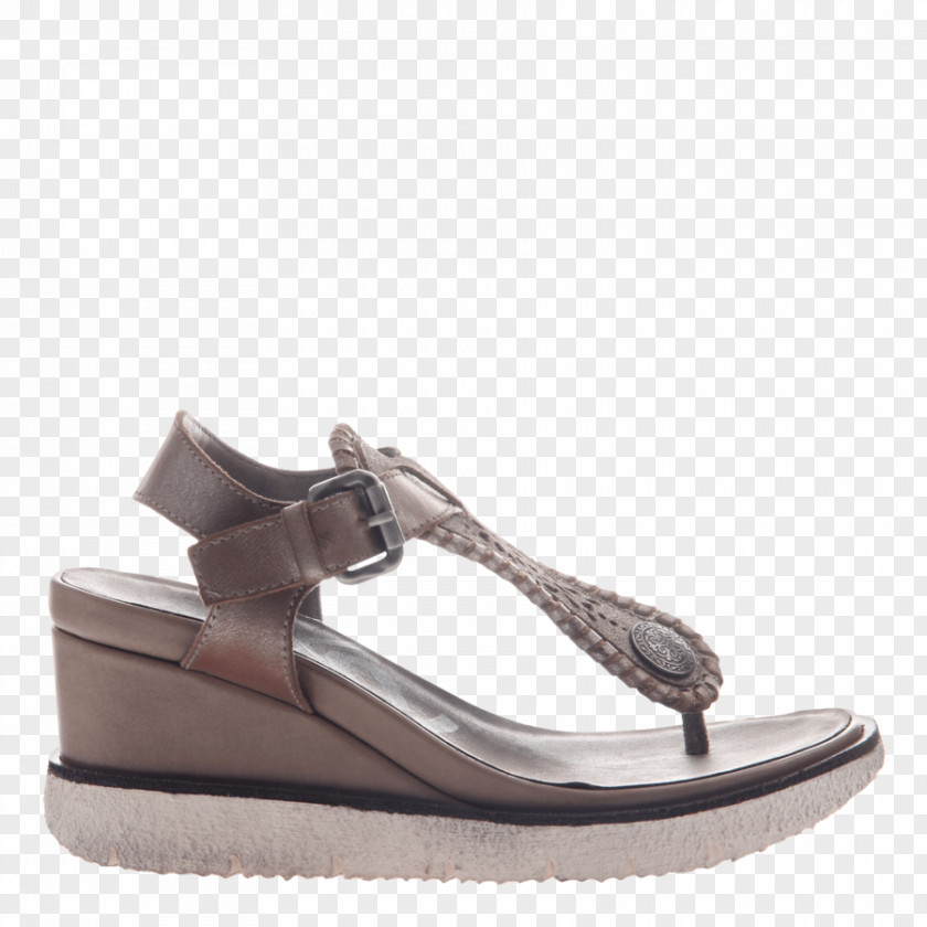 Platform Shoes Sandal Wedge Shoe Flip-flops Silver PNG