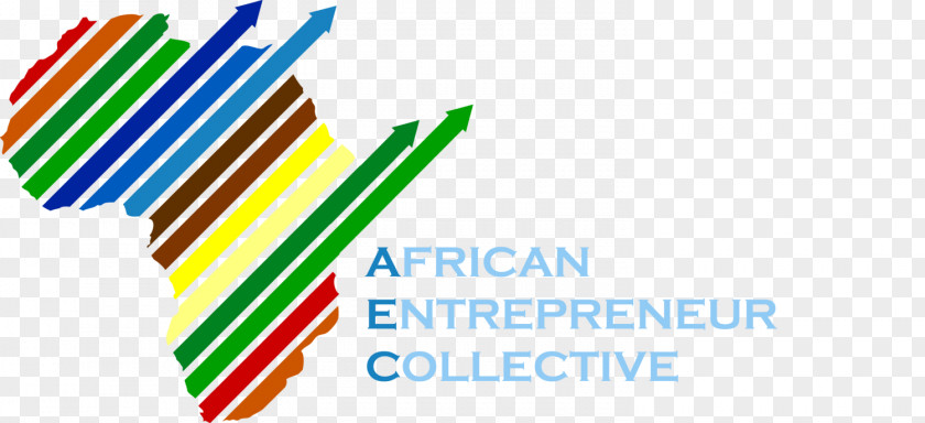 Africa Social Entrepreneurship Business Non-profit Organisation PNG