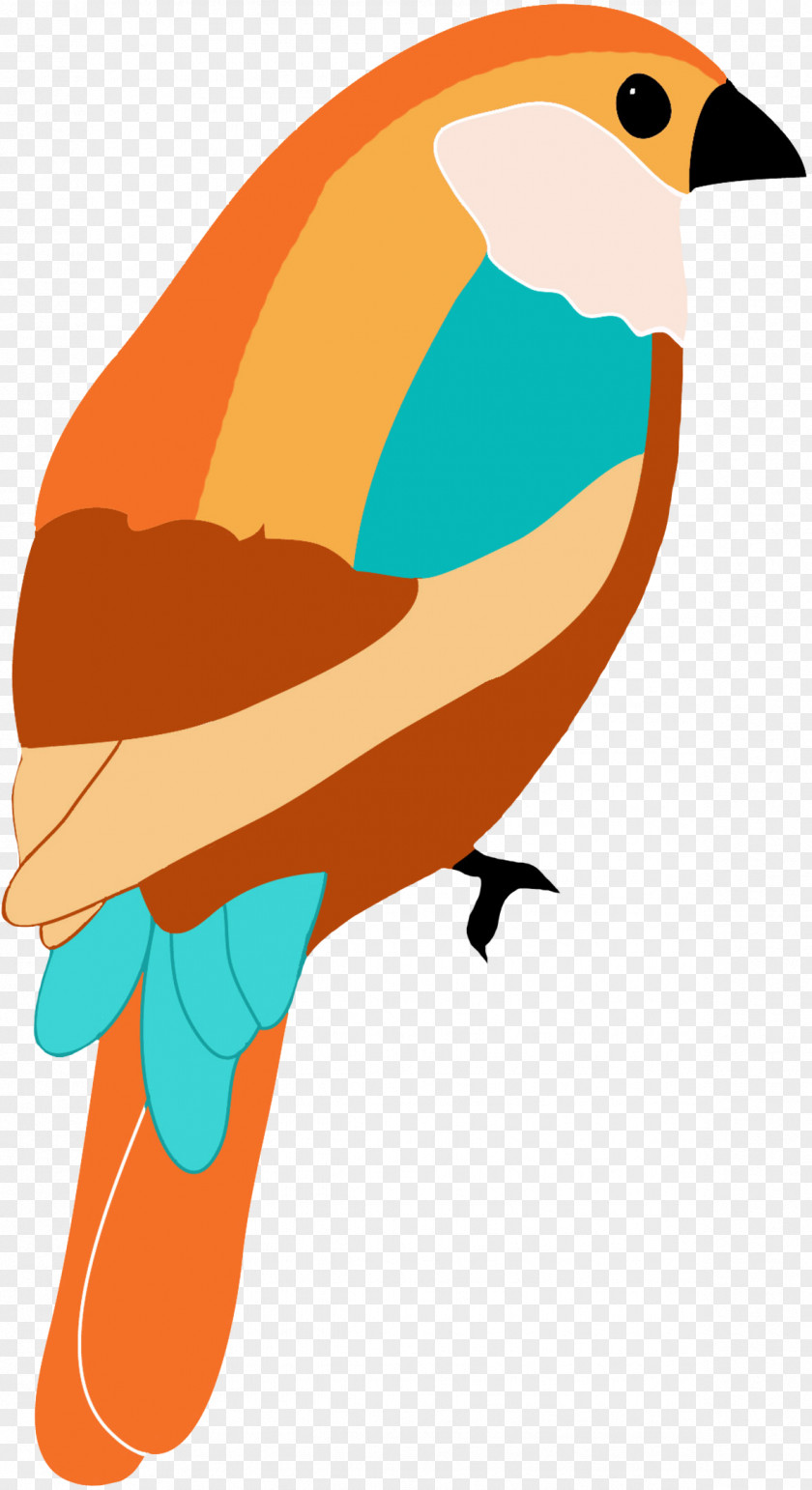 Bullfinch Hummingbird Drawing Art Clip PNG