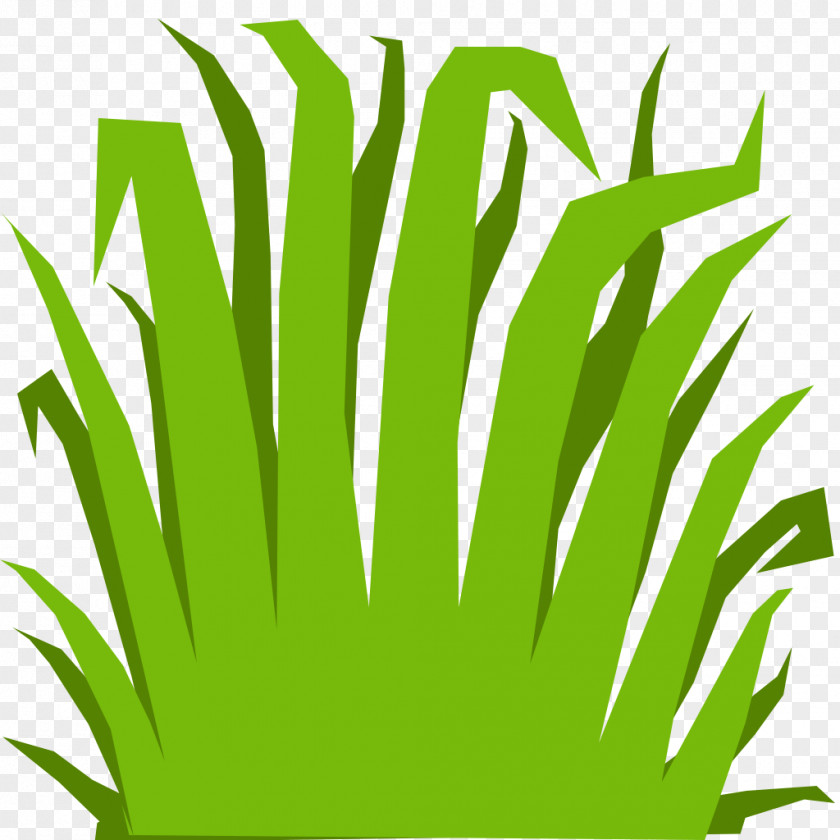 Cartoon Grass Texture Mapping Computer Animation 3D Graphics PNG