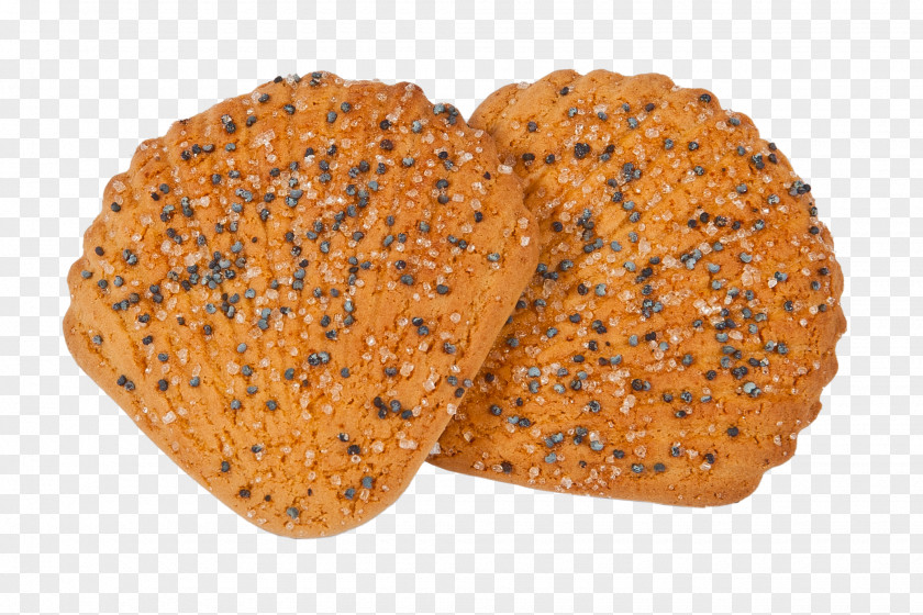 Cookie HTTP PNG