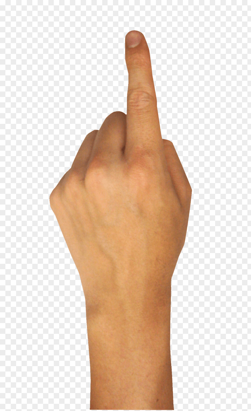 Finger Image Icon Hand PNG