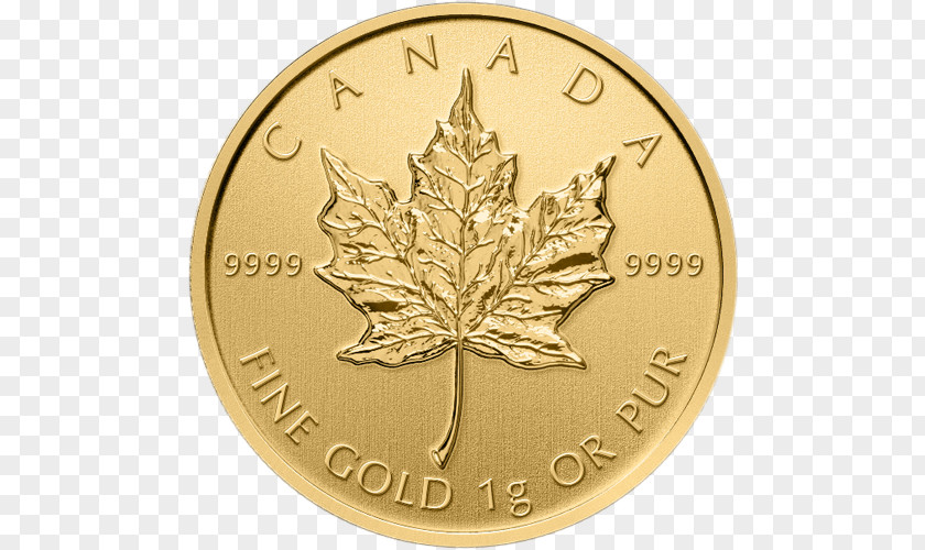 Maple Leaf Cookies Perth Mint Canadian Gold Libertad Coin PNG