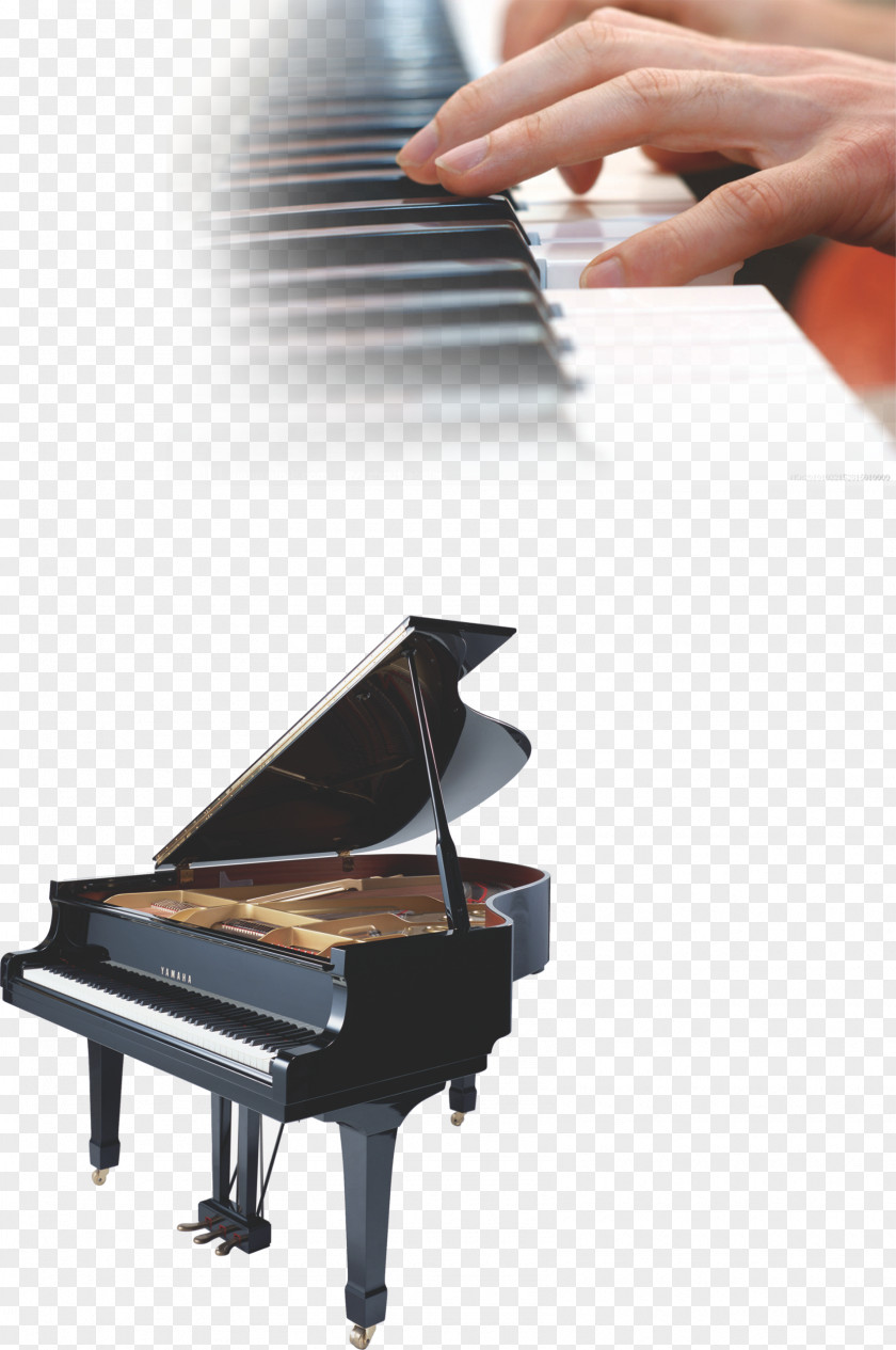 Piano Education Arts Training Grand Musical Instrument PNG