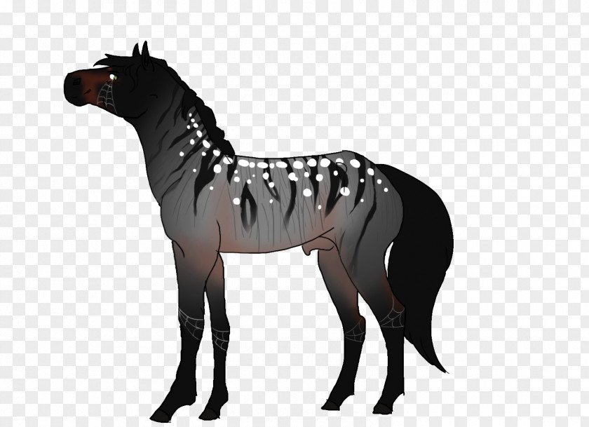 Prophet Stallion Mule Foal Mustang Mare PNG