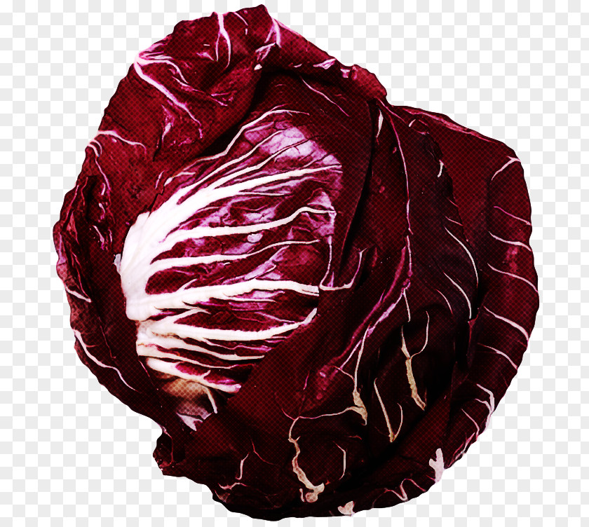 Red Cabbage Radicchio Leaf Vegetable PNG