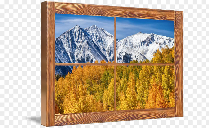 Autumn Forest Window Larch Painting Picture Frames Nature PNG