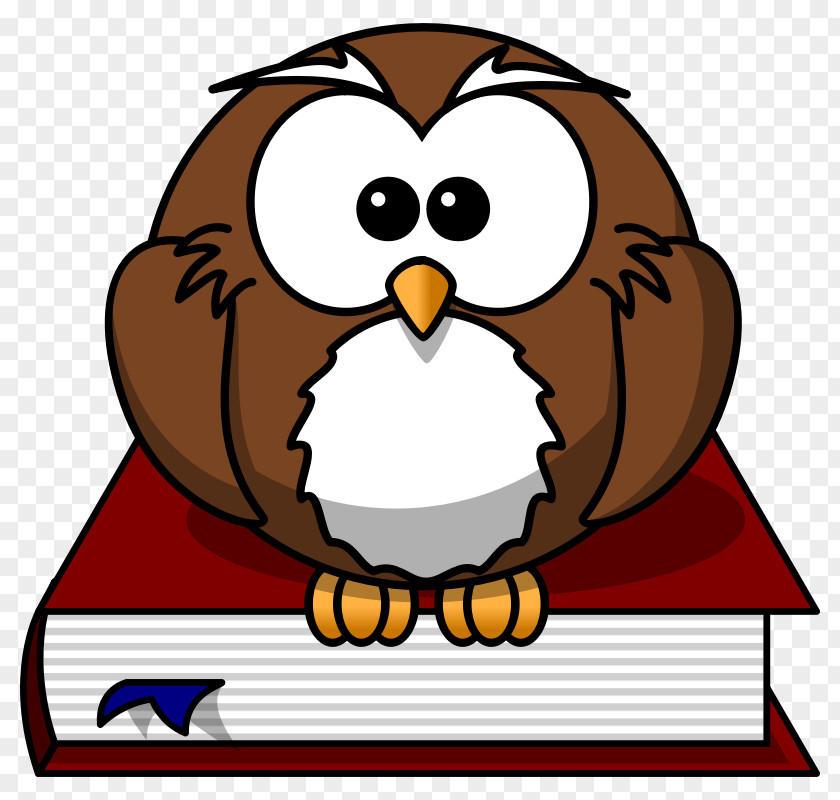 Cartoon Picture Of Owl Drawing Clip Art PNG