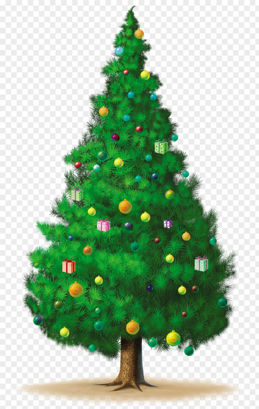 Christmas Tree Clip Art PNG