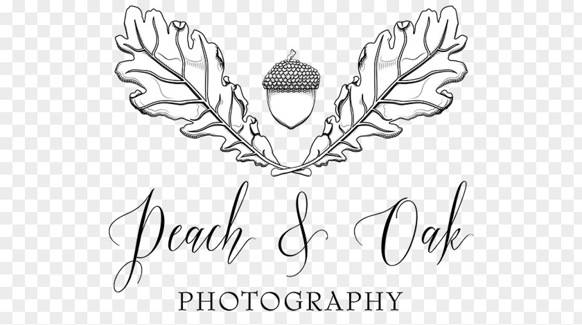 Peach Logo Visual Arts Drawing Graphic Design Calligraphy Clip Art PNG