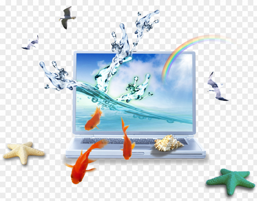 TV Laptop Computer Monitor Download Icon PNG