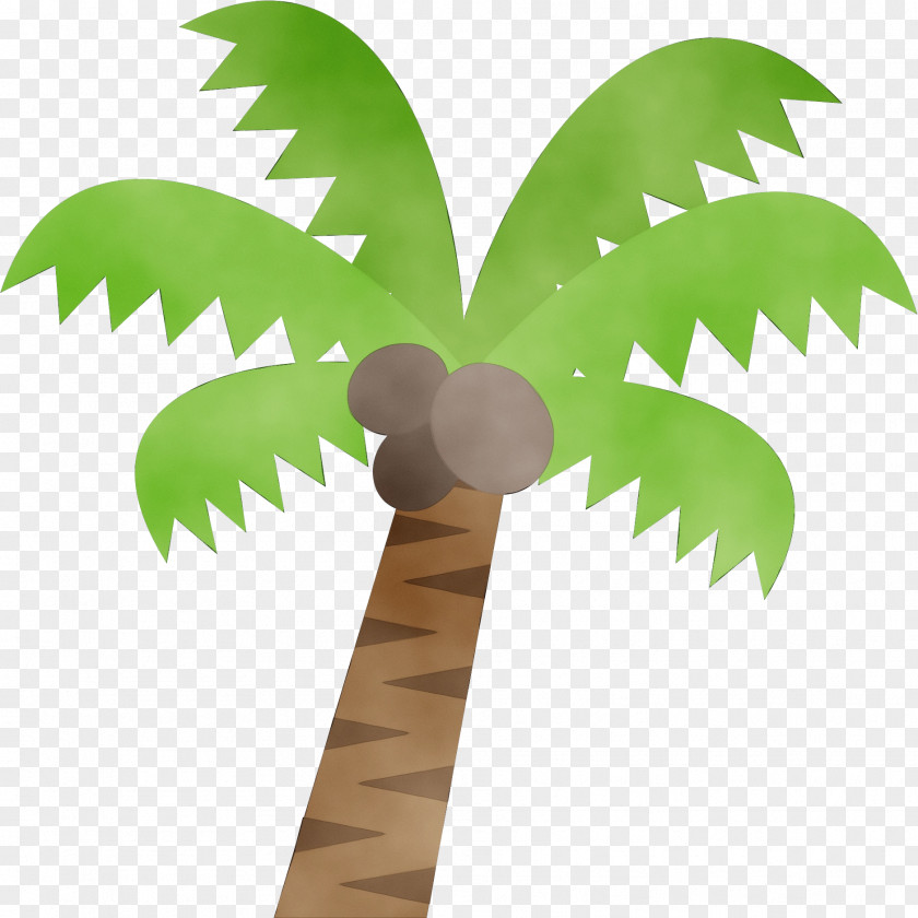Vascular Plant Houseplant Palm Trees PNG