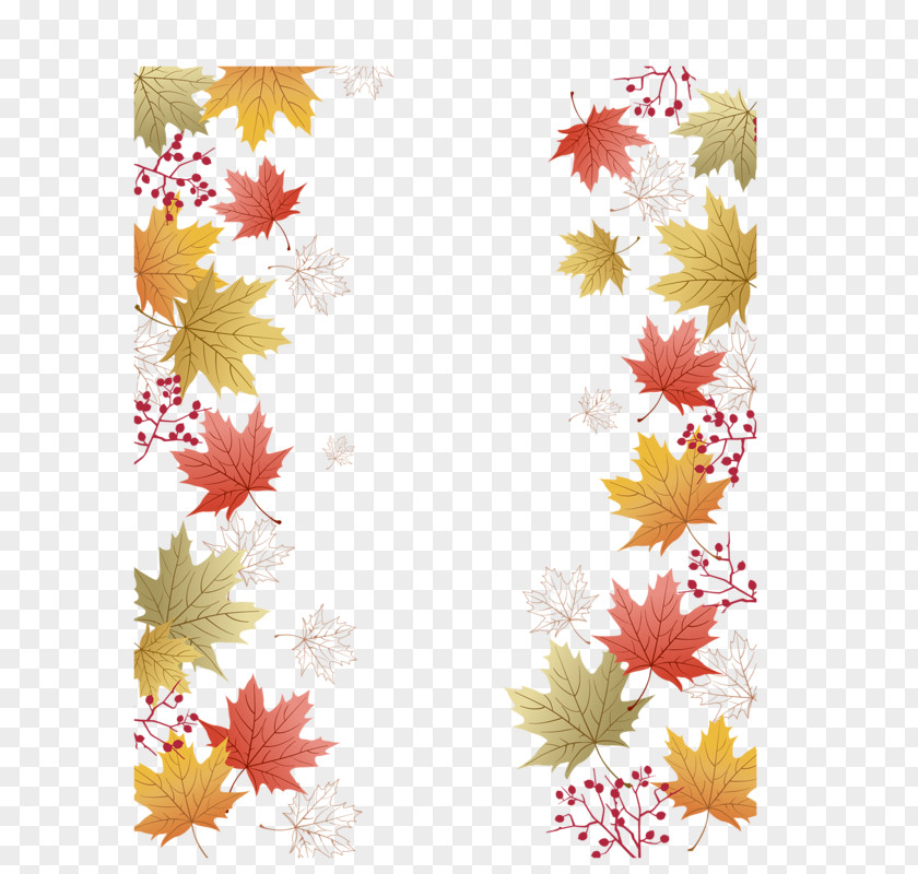 Autumn Maple Leaf Photography PNG