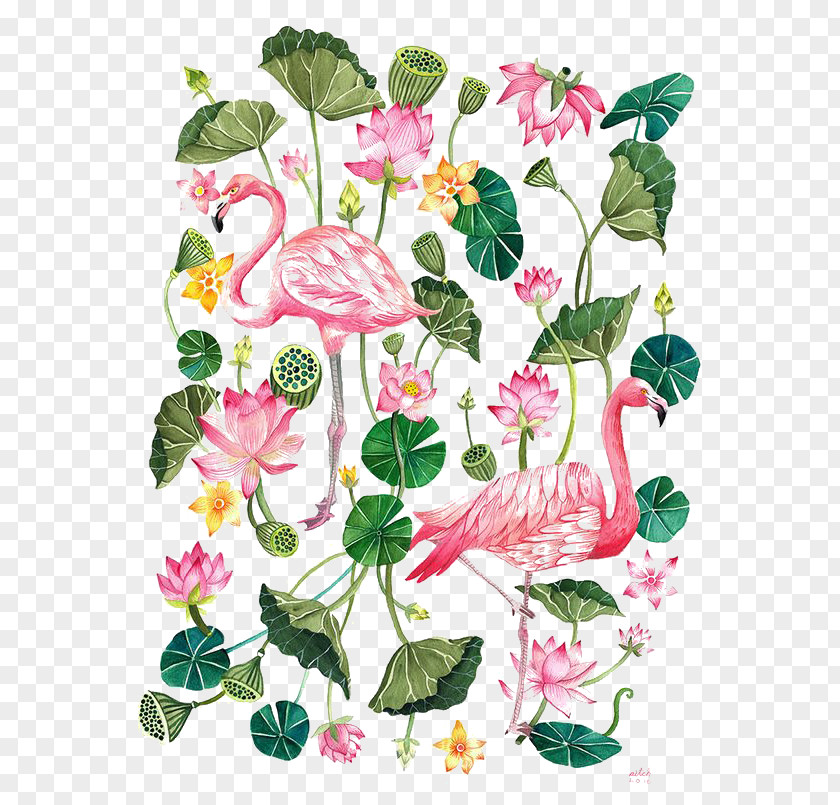 Cartoon Flamingo Printing T-shirt Illustration PNG