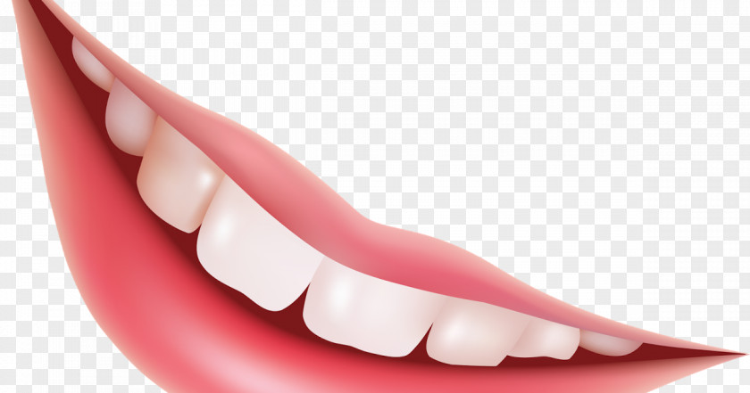 Smile Lip Mouth PNG