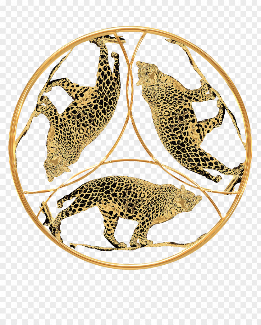 Thousand Jaguar Cheetah Leopard Felidae Cat PNG