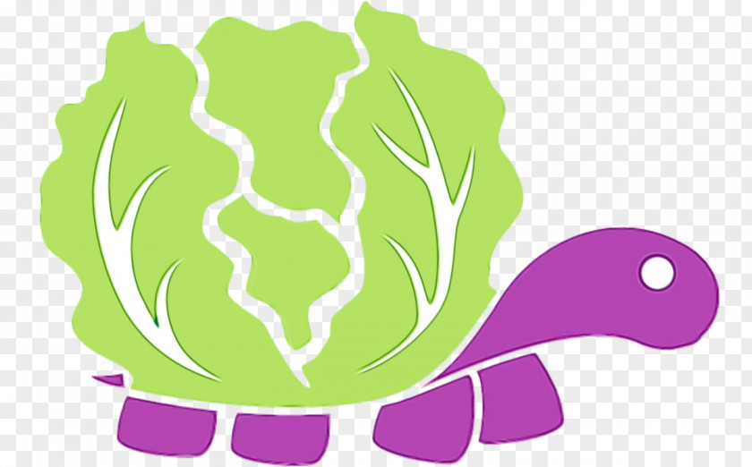 Vegetable Plant Green Turtle Sea Cabbage Tortoise PNG