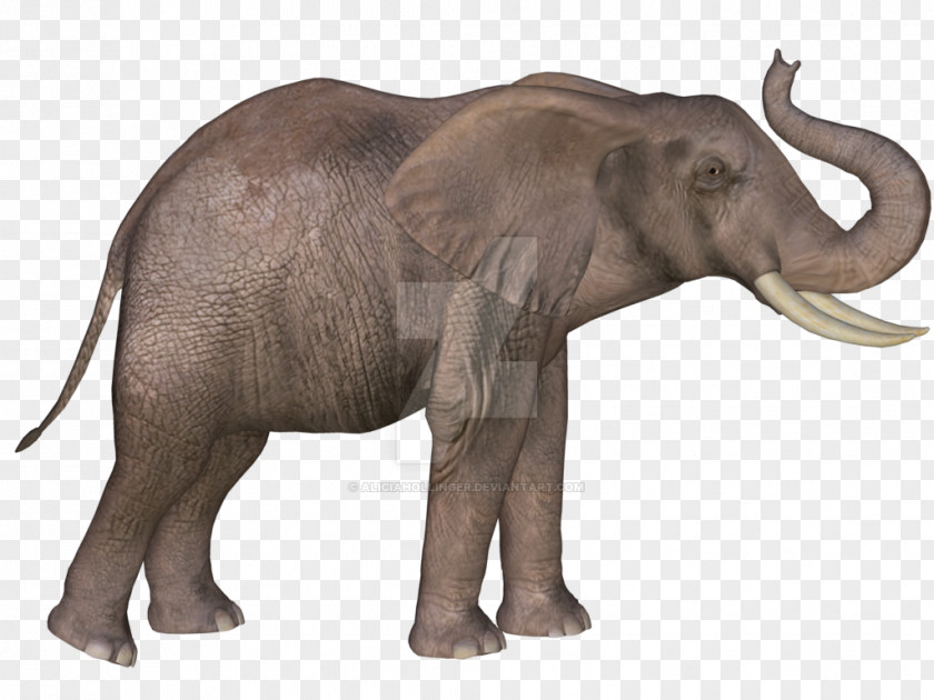 3D Elephant Indian African Mammoth Lakes Tusk Wildlife PNG