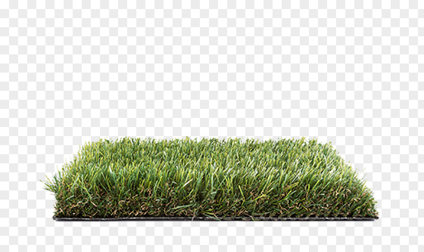 Fake Grass Lawn Artificial Turf Grasses Luxury Goods Swimming Pool PNG